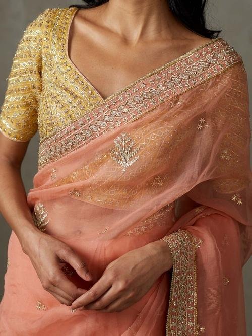 Coral Sterling Saree With Stitched Blouse - Image 2